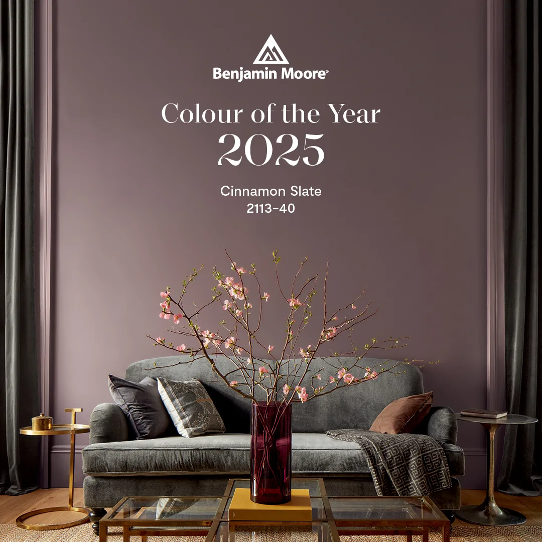 PIcture of 2025 Colour of the Year